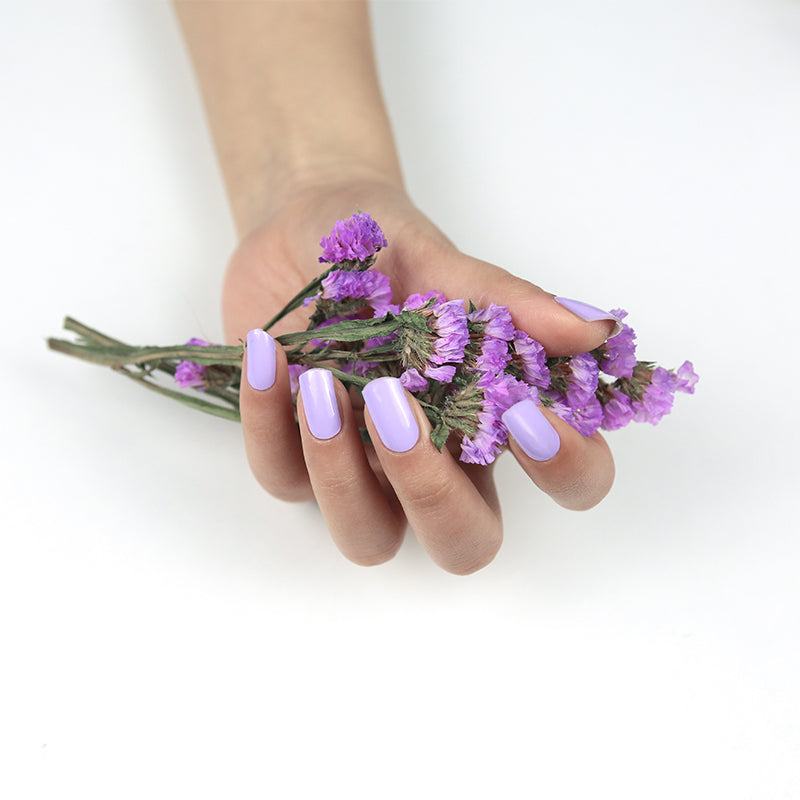Astrea Violet